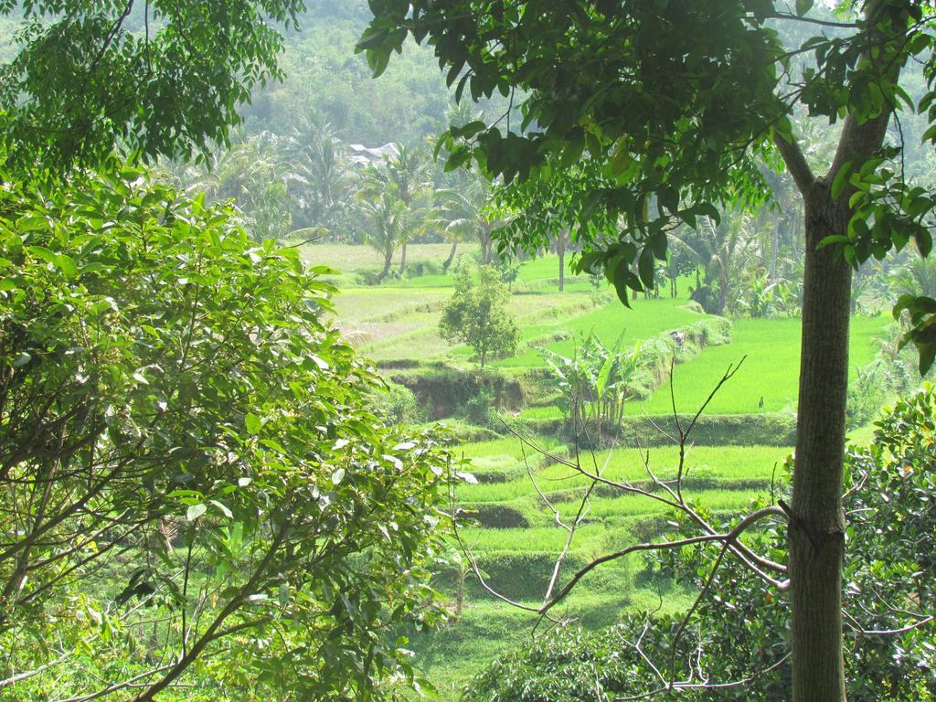 Tetebatu Indah Homestay Bagian luar foto