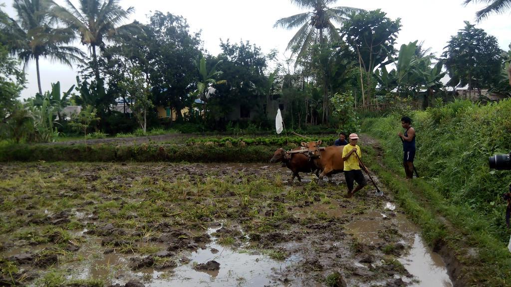 Tetebatu Indah Homestay Bagian luar foto