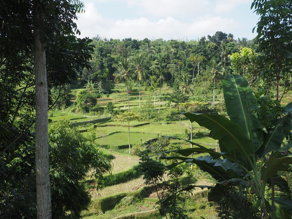 Tetebatu Indah Homestay Bagian luar foto