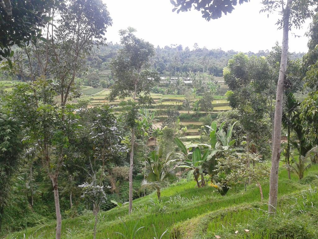 Tetebatu Indah Homestay Bagian luar foto