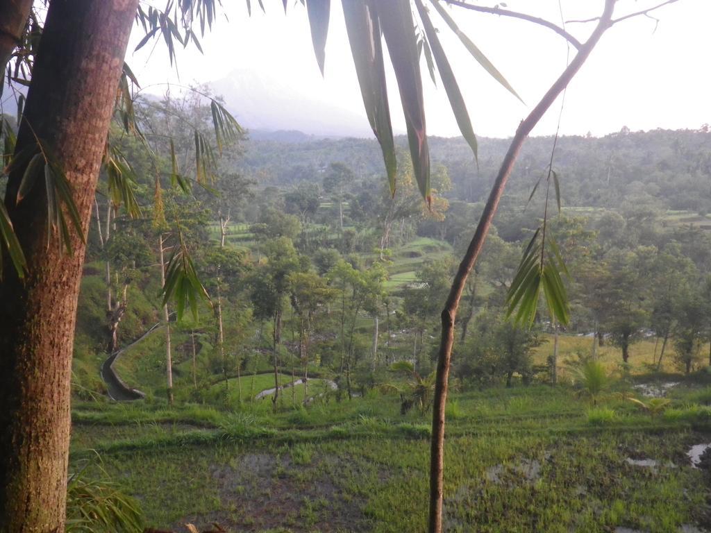 Tetebatu Indah Homestay Bagian luar foto