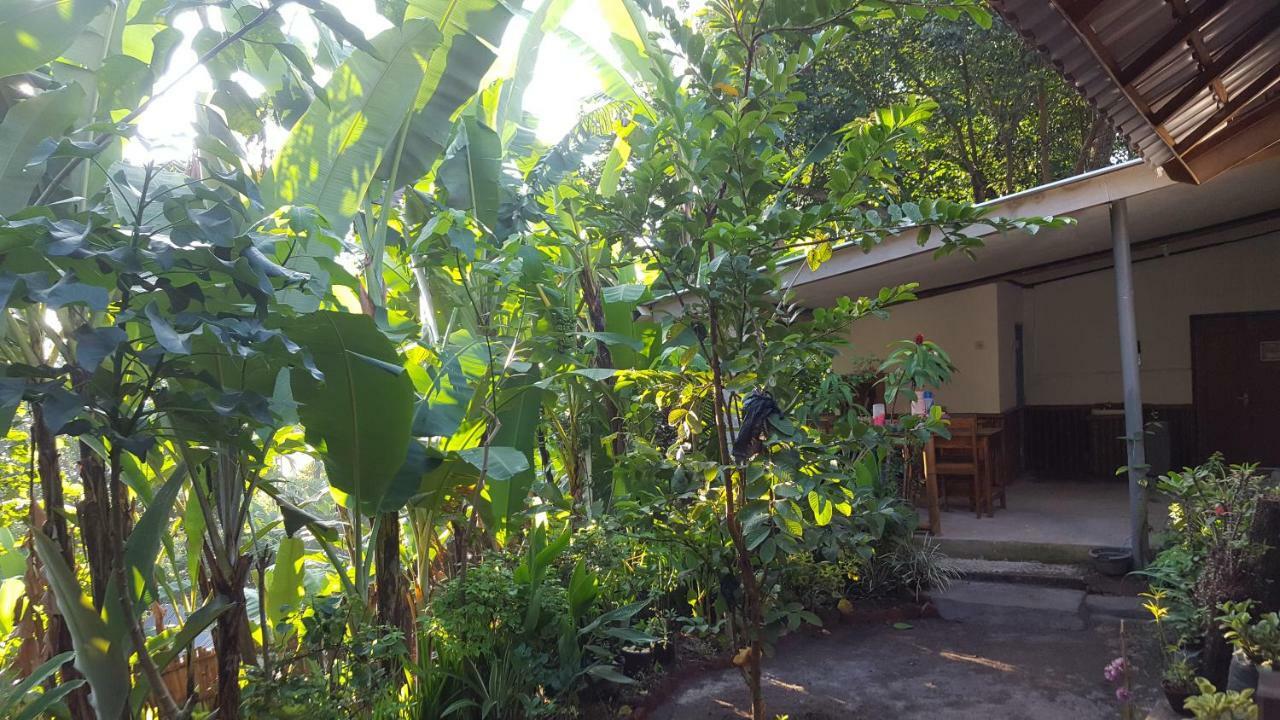 Tetebatu Indah Homestay Bagian luar foto
